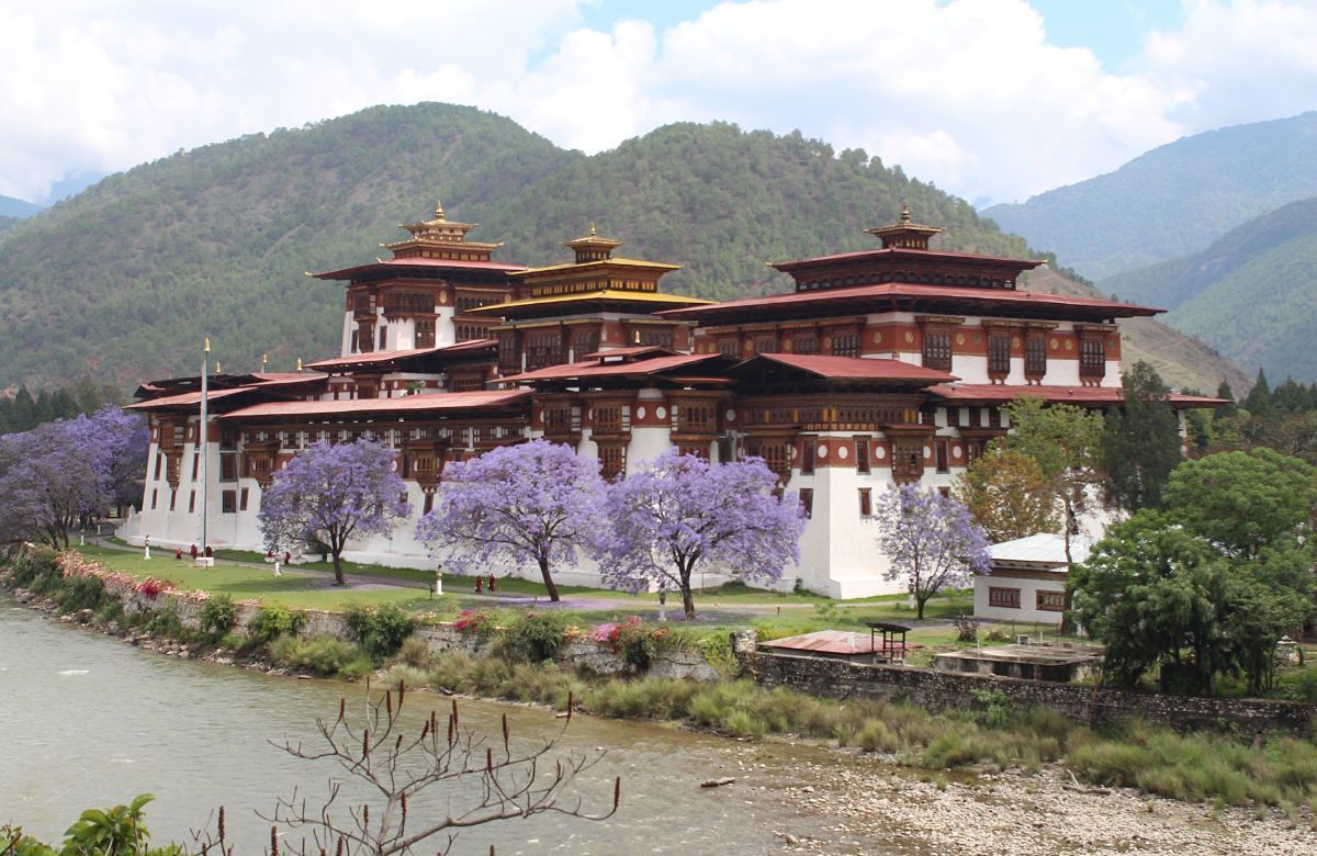 Punakha Dzong in spring